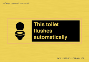 This toilet flushes automatically